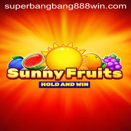 SunnyFruits Game Overview